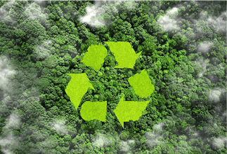 Sustainable Practices